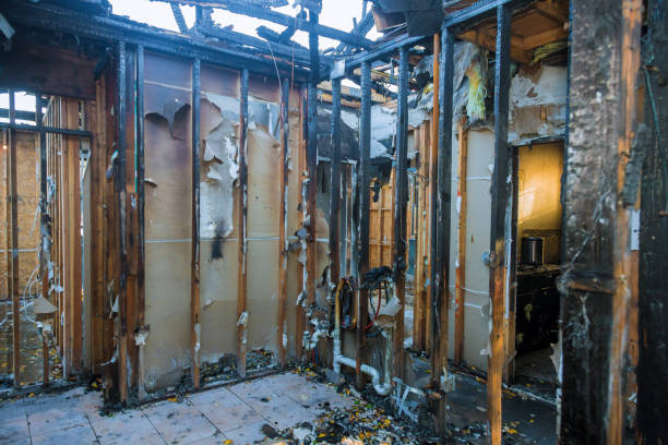Professional Fire Damage Removal technician working in Phoenix, MD